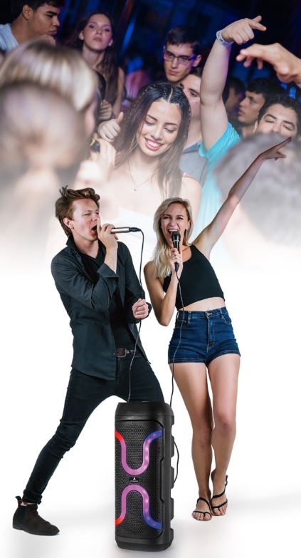 MPD12X8 - 8" X 2 Woofers karaoke bluetooth speakers with mic and different LED light modes