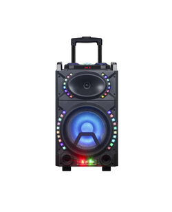Single 10″ Woofer with built in Rechargeable battery HIGH POWER