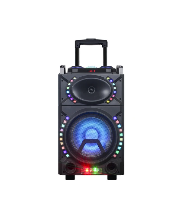 Single 10″ Woofer with built in Rechargeable battery HIGH POWER